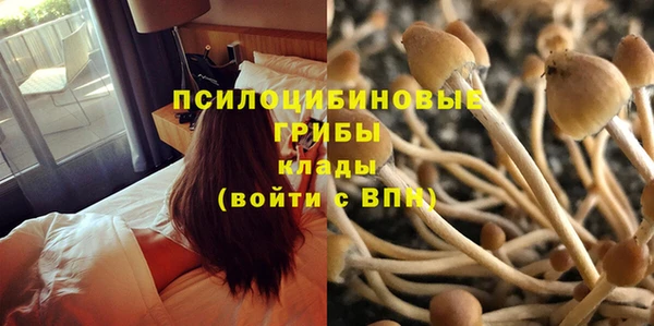 кокс Алексин