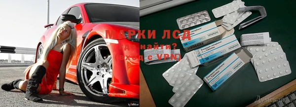spice Алексеевка