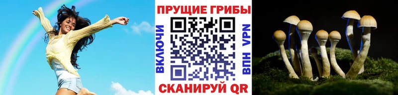 Галлюциногенные грибы мицелий  Орлов 