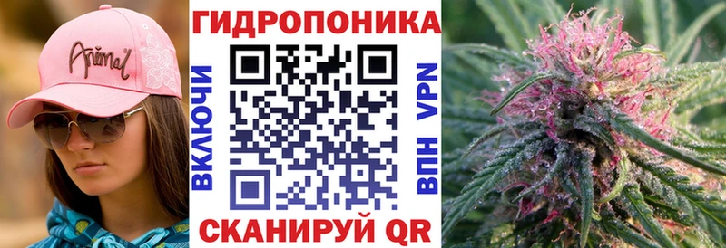 МАРИХУАНА семена  купить закладку  Орлов 